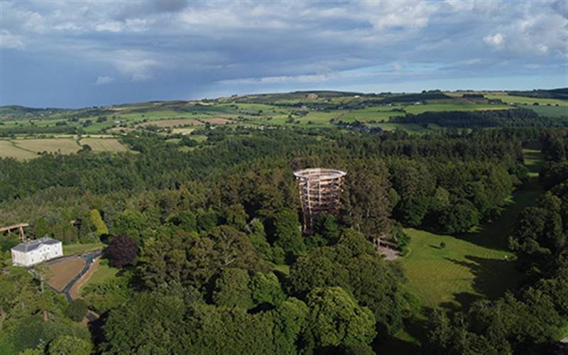Beyond the Trees, Houses & Gardens Wicklow GOLD